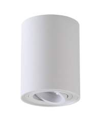 CLT 410C1 WH Светильник потолочный Crystal Lux CLT 410