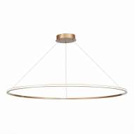 Подвесная светодиодная люстра St Luce OUT ST604.243.57