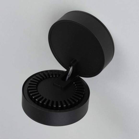 OML-101919-12 Потолочный светильник Omnilux Borgetto