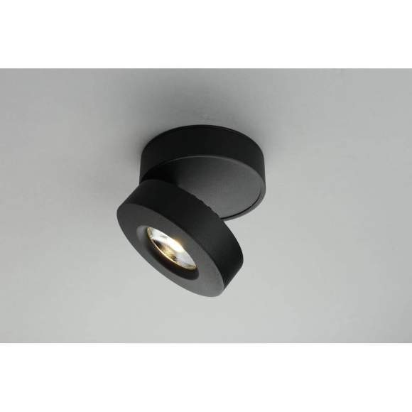 OML-101919-12 Потолочный светильник Omnilux Borgetto