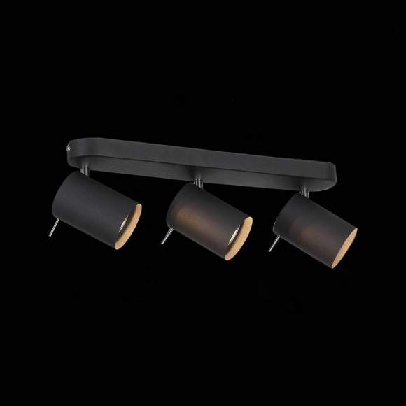 SL597.401.03 Спот поворотный ST-Luce FANALE