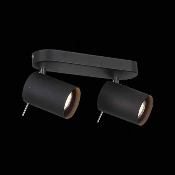 SL597.401.02 Спот поворотный ST-Luce FANALE