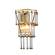 Бра с лампочкой Favourite Wisper 2845-1W+Lamps E14 P45