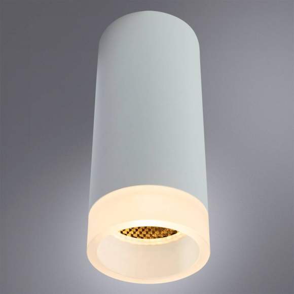 Накладной потолочный светильник Arte Lamp OGMA A5556PL-1WH