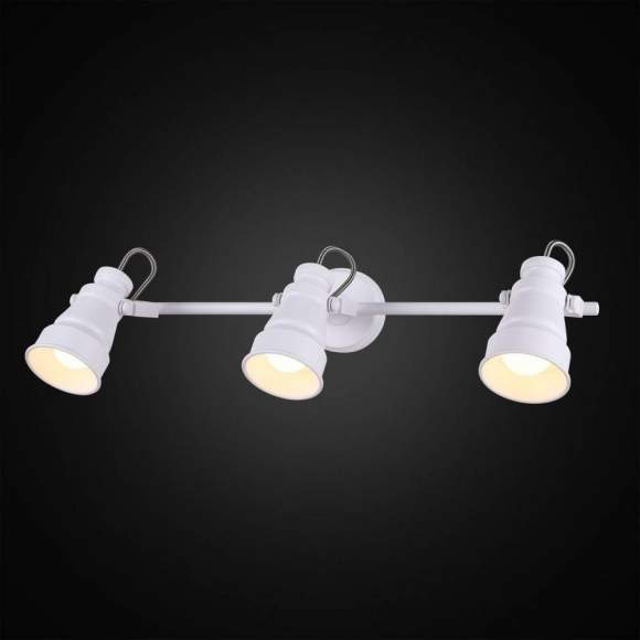 CL541530 Спот Citilux Бейкер