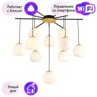 Потолочная люстра Favourite Paramount с поддержкой Алиса 3047-10P-A Потолочная люстра Favourite Paramount с поддержкой Алиса 3047-10P-A