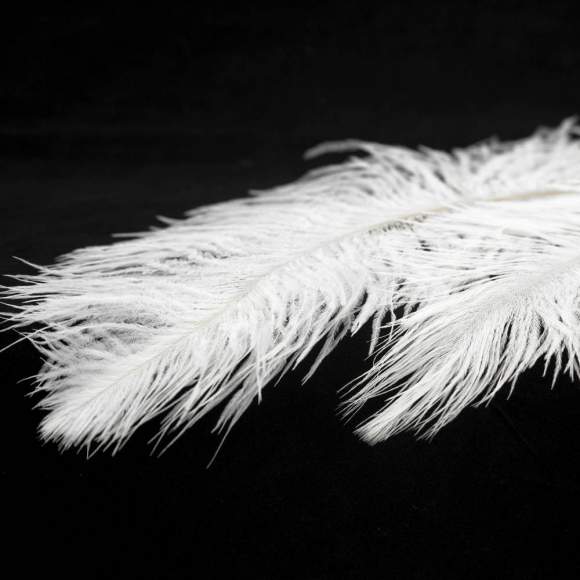 Подвесная люстра Lussole Loft Cuscino LSP-8601 Подвесная люстра Lussole Loft Cuscino LSP-8601