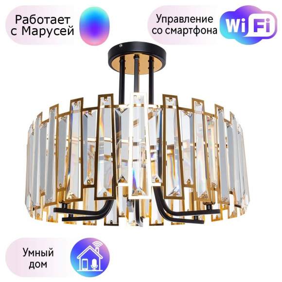 Подвесная люстра Arte Lamp Amber с поддержкой Маруся A1028PL-6BK-М