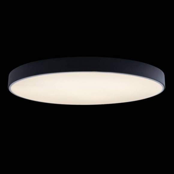 Потолочный светодиодный светильник Axel Loft It 10002/48 Black Потолочный светодиодный светильник Axel Loft It 10002/48 Black