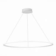 Подвесная светодиодная люстра St Luce OUT ST604.543.57