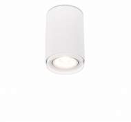 Потолочный светильник Syneil 2065-1CLW Потолочный светильник Syneil 2065-1CLW