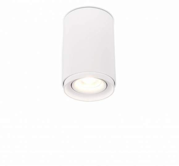 Потолочный светильник Syneil 2065-1CLW