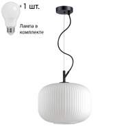 Светильник с лампочкой Odeon Light Roofi 4754/1+Lamps