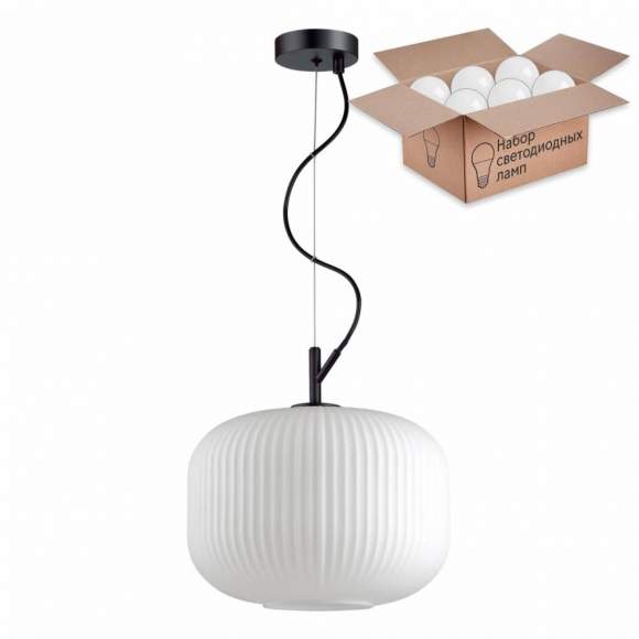 Светильник с лампочкой Odeon Light Roofi 4754/1+Lamps