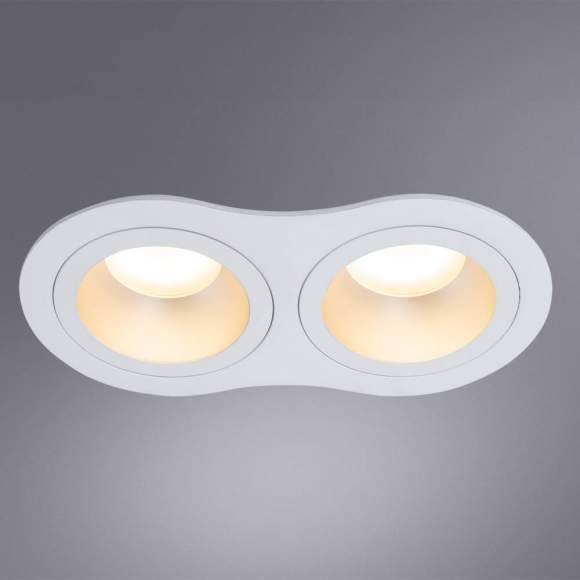 Встраиваемый точечный светильник Arte Lamp ALKES A2161PL-2WH Встраиваемый точечный светильник Arte Lamp ALKES A2161PL-2WH