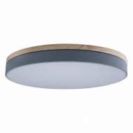 Потолочный светодиодный светильник Axel Loft It 10001/36 Grey Потолочный светодиодный светильник Axel Loft It 10001/36 Grey