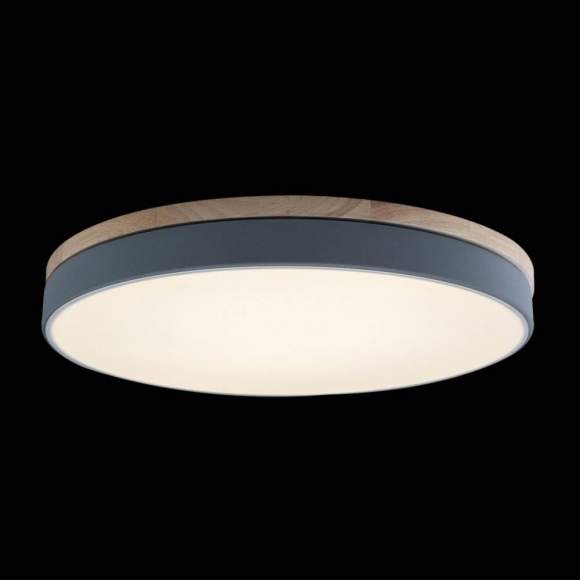 Потолочный светодиодный светильник Axel Loft It 10001/36 Grey Потолочный светодиодный светильник Axel Loft It 10001/36 Grey