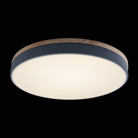 Потолочный светодиодный светильник Axel Loft It 10001/36 Grey Потолочный светодиодный светильник Axel Loft It 10001/36 Grey