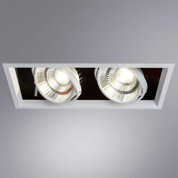 Светильник встраиваемый Arte Lamp MERGA A8450PL-2WH Светильник встраиваемый Arte Lamp MERGA A8450PL-2WH