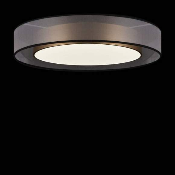 Потолочный светильник FREYA Zoticus FR6005CL-L48G Потолочный светильник FREYA Zoticus FR6005CL-L48G