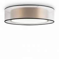 Потолочный светильник FREYA Zoticus FR6005CL-L36G