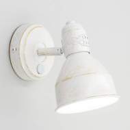 CL502513 Спот Citilux Опус
