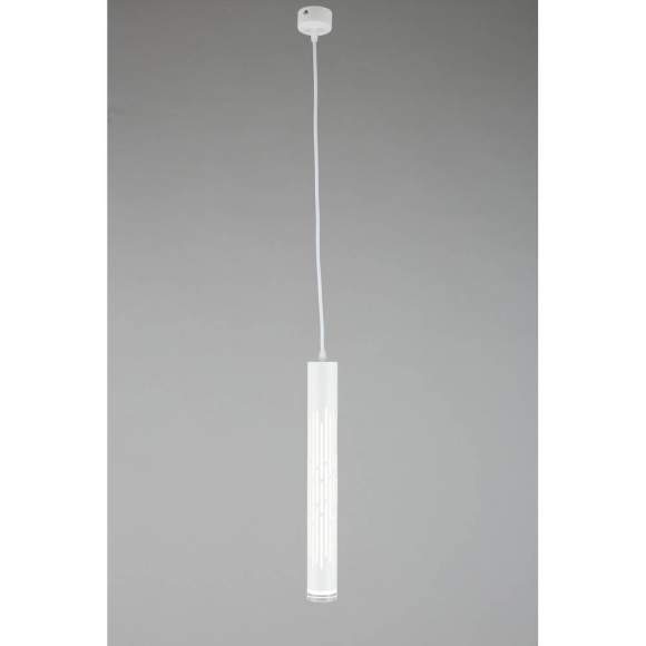 OML-101706-20 Подвесной светильник Omnilux Borgia