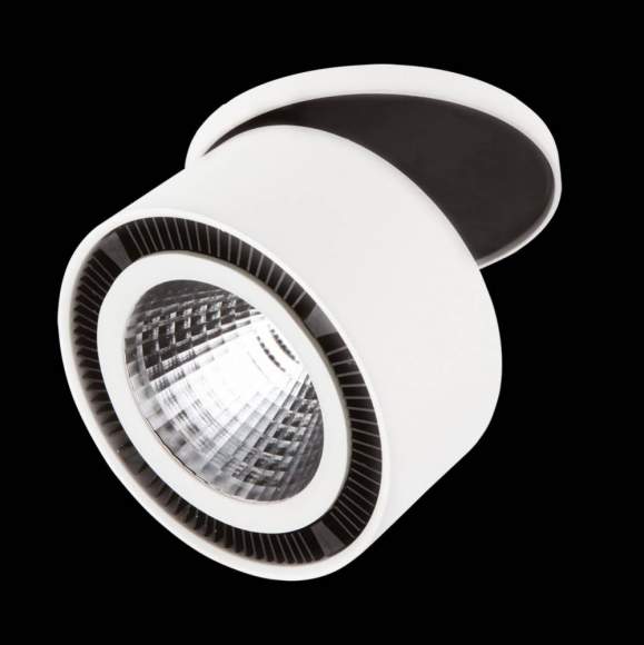 213806 Встраиваемый светодиодный спот Lightstar Forte Inca 213806 Встраиваемый светодиодный спот Lightstar Forte Inca