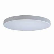 Потолочный светодиодный светильник Axel Loft It 10002/48 White Потолочный светодиодный светильник Axel Loft It 10002/48 White