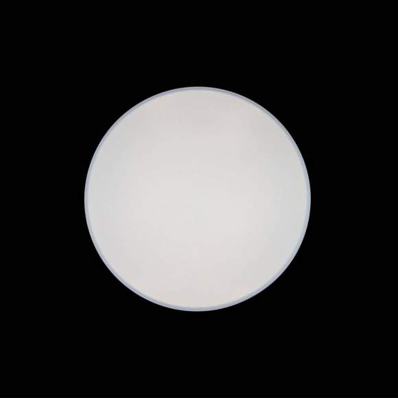 Потолочный светодиодный светильник Axel Loft It 10002/48 White