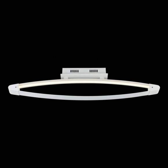 Потолочный светодиодный светильник ST Luce SL920.102.01 Потолочный светодиодный светильник ST Luce SL920.102.01