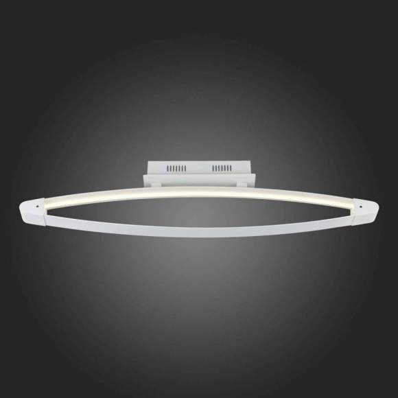 Потолочный светодиодный светильник ST Luce SL920.102.01 Потолочный светодиодный светильник ST Luce SL920.102.01