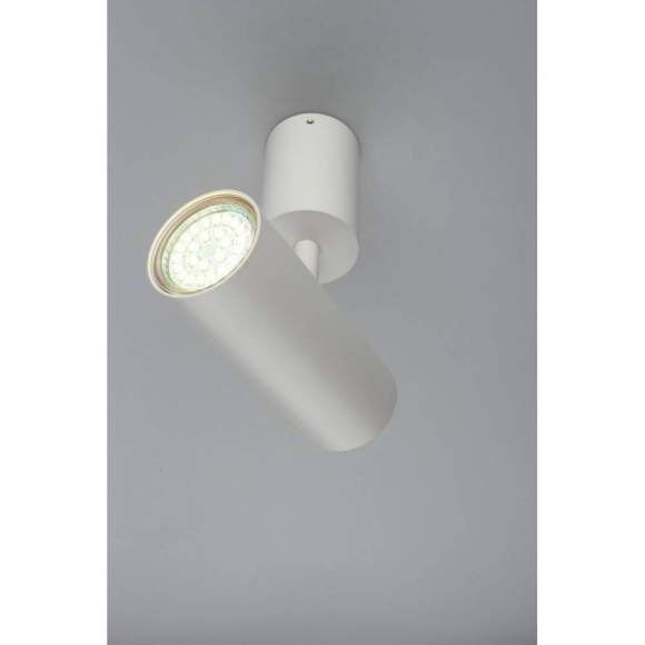 Спот светодиодный Berenis Aployt APL.007.02.01