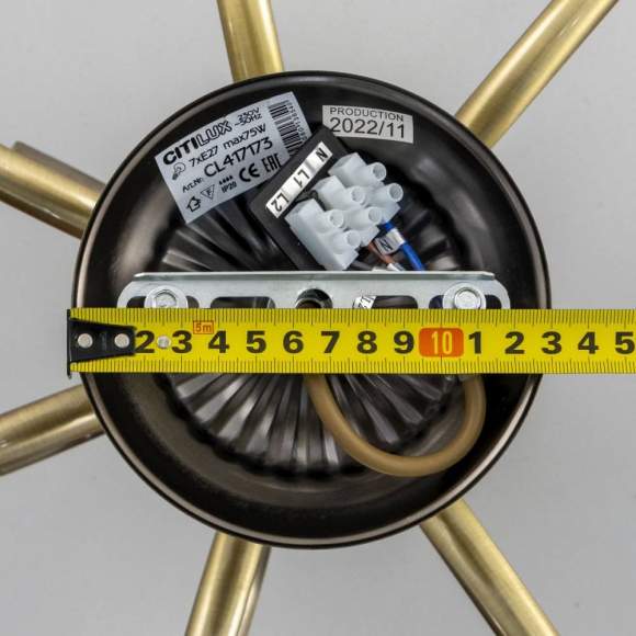 Потолочная люстра Citilux Франческа CL417173 Потолочная люстра Citilux Франческа CL417173