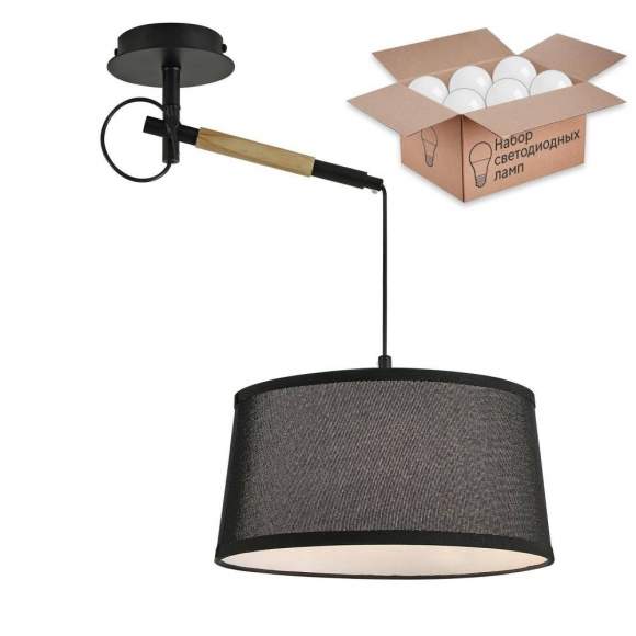 Настенно-потолочный светильник с лампочкой F-Promo Eureka 3006-1P+Lamps А60