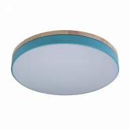Потолочный светодиодный светильник Axel Loft It 10001/36 Blue