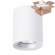 Светильник с лампочкой Arte Lamp Torre A1532PL-1WH+Lamps Gu10