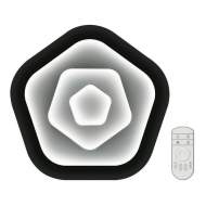 Потолочный светодиодный светильник с пультом Fametto Nimfea DLC-N504 62W IRON/WHITE