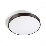Потолочный светодиодный светильник с пультом ДУ Lumion Agatha 4509/72CL