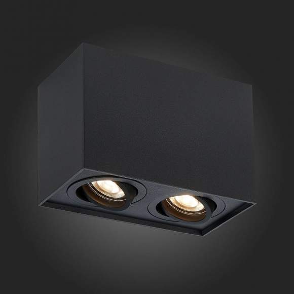 Накладной точечный поворотный светильник ST-Luce ST109.407.02