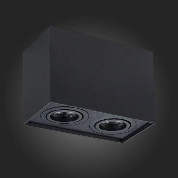 Накладной точечный поворотный светильник ST-Luce ST109.407.02