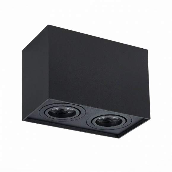 Накладной точечный поворотный светильник ST-Luce ST109.407.02