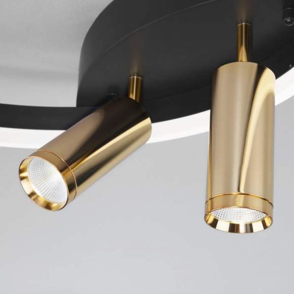 Потолочная светодиодная люстра с пультом ДУ Eurosvet Luminari 90247/3 черный/золото Smart (a055664) Потолочная светодиодная люстра с пультом ДУ Eurosvet Luminari 90247/3 черный/золото Smart (a055664)