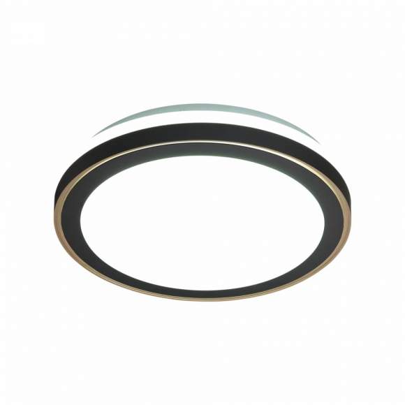 Настенно-потолочный светильник с пультом ДУ Sonex  Akuna 7620/DL