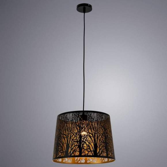 Подвесной светильник Arte lamp Celesta A2769SP-1BK