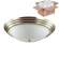 Настенно-потолочный светильник Lumion Kayla с лампочками 5262/3C+Lamps E27 P45