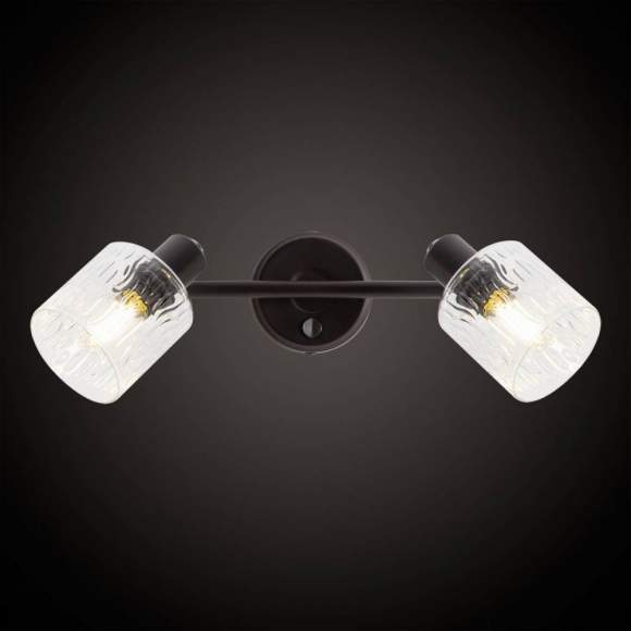 Спот поворотный с выключателем Citilux Артик CL510525