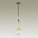 Подвесной светильник с лампочкой Odeon Light Stono 4789/1+Lamps G9