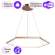 Подвесная светодиодная люстра Favourite Hexagon с поддержкой Алиса 2103-6P-A