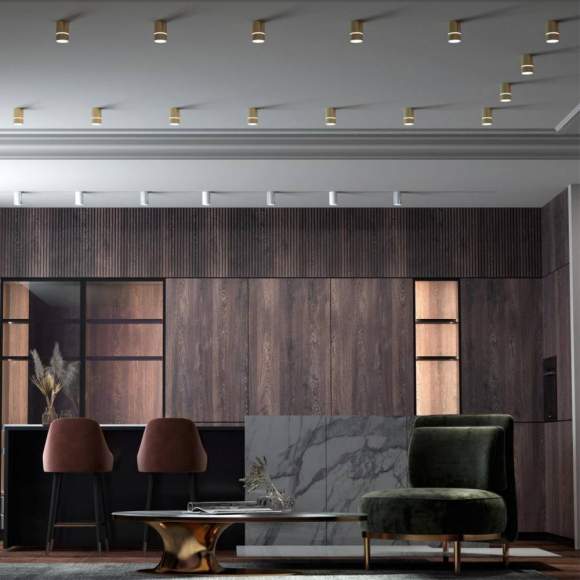 Накладной светодиодный светильник Elina 370734